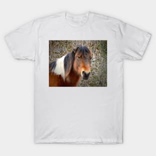 Assateague Island Pony Patricia Irene T-Shirt